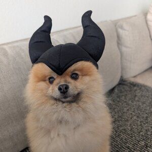 Meet your Posher, Keith